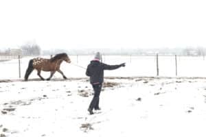 12- Testbeszéd